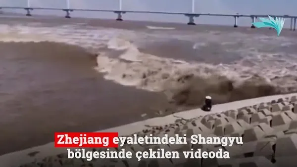 Nehrin kenarına oturan adam hayatının şokunu yaşadı