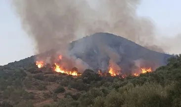 İzmir’deki orman yangınlarına ilişkin 6 kişi tutuklandı