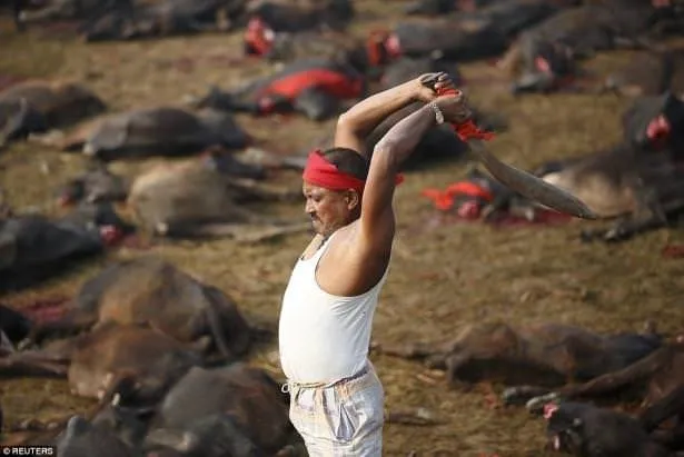 Nepal’de festival dehşeti