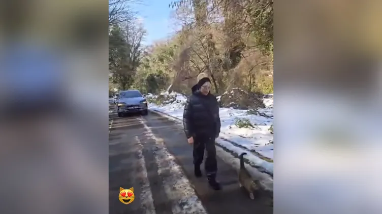 Ajda Pekkan’ın doğa yürüyüşündeki davetsiz misafiri! Süperstar’ı bir an olsun yalnız bırakmadı…
