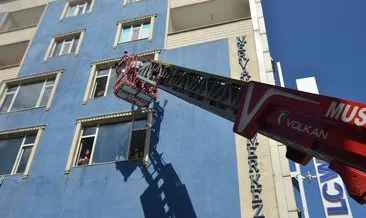 Muş’ta can pazarı! Muş’ta can pazarı!