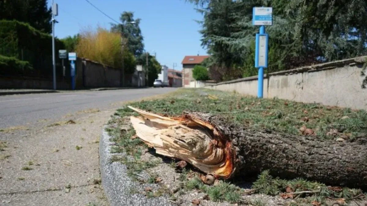 Fransa’yı kasırga vurdu: 41 yaralı