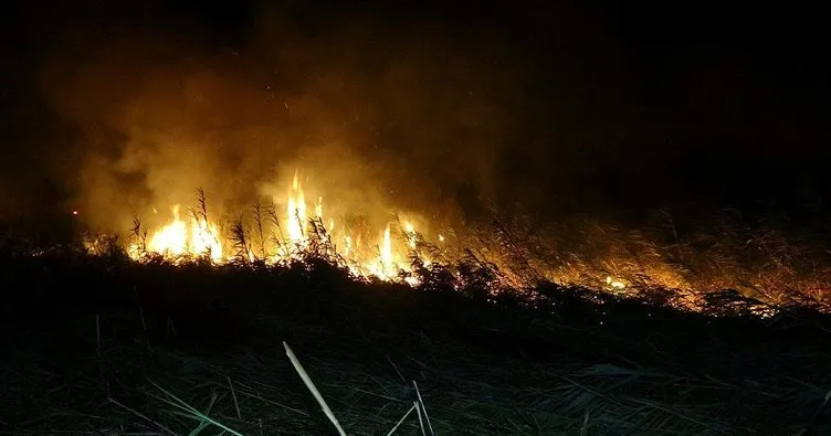 Edremit’te sazlık alanda yangın