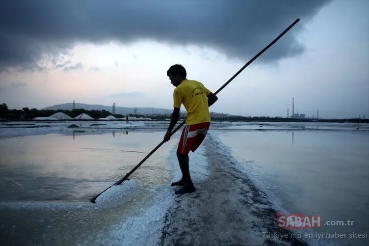 Hindistan Bombay’da tuz hasadı