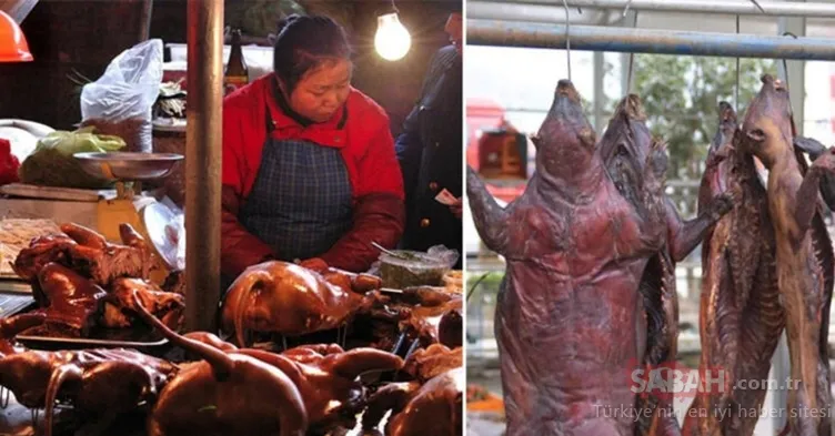 SON DAKİKA: İşte dünyaya corona virüsü bulaştıran o kadın! Çinli kadının kimliği ortaya çıktı