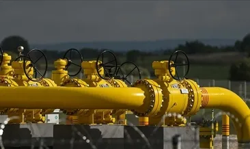 LPG ithalatı haziranda azaldı