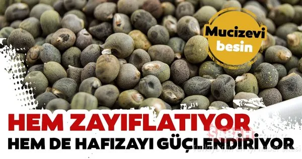 Bamba tohumunun faydaları nelerdir? İşte bamya tohumunun mucizevi faydaları