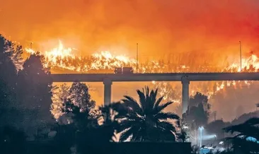 Şili’de orman yangını 18 can kaybı