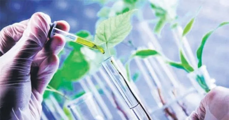 Kâğıt çamurundan enerji üretiyor