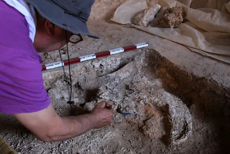 Antalya’da 350 bin yıllık kemik bulundu