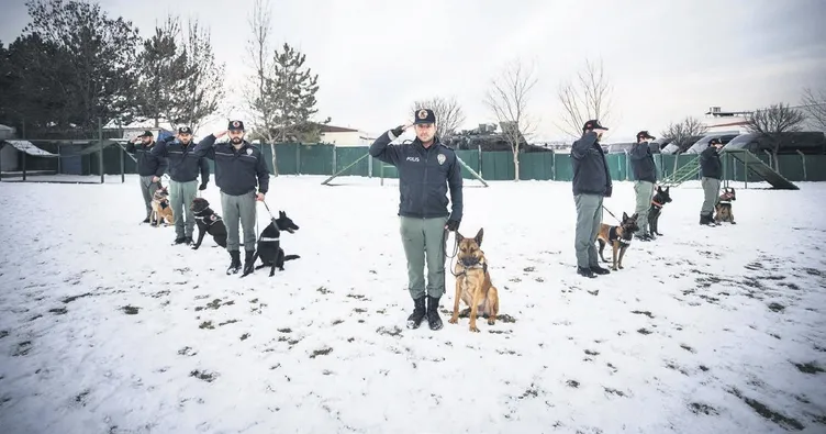 Suçluların yakalanmasında en öndeler