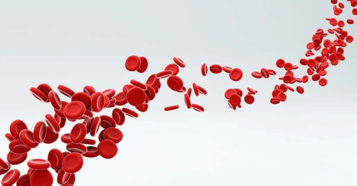 lym yuksekligi ve dusuklugu nedir lym lenfosit nedir normal degerleri kac olmali saglik haberleri