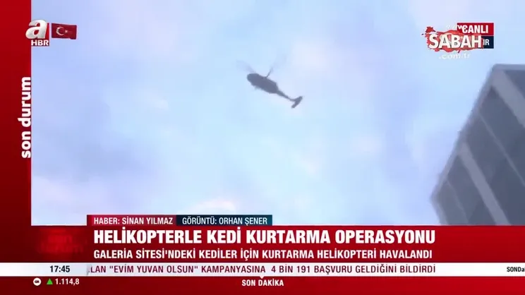 Helikopterle ‘kedi kurtarma’ operasyonu | Video