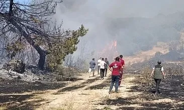 Piknikçilerin ihmali orman yangını çıkardı: 1 gözaltı #manisa
