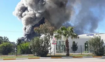 Son Dakika: Antalya serbest bölgede yangın çıktı