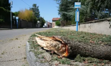 Fransa’yı kasırga vurdu: 41 yaralı