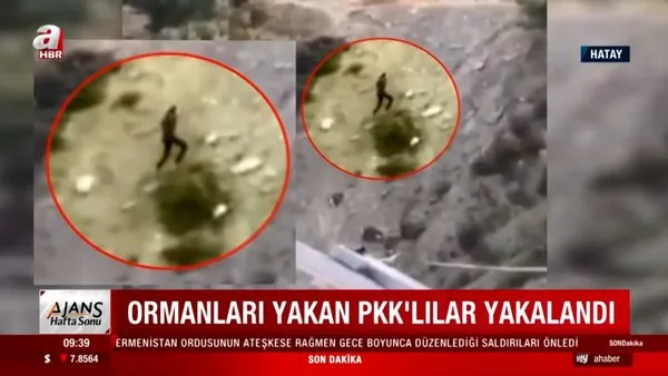 Son dakika haberi... Hatay'da ormanları yakan PKK'lı teröristlerle ilgili flaş gelişme!  | Video