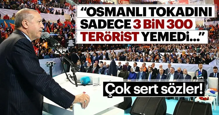 Cumhurbaşkanı Erdoğan: Osmanlı tokadını sadece 3 bin 300 terörist yemedi...