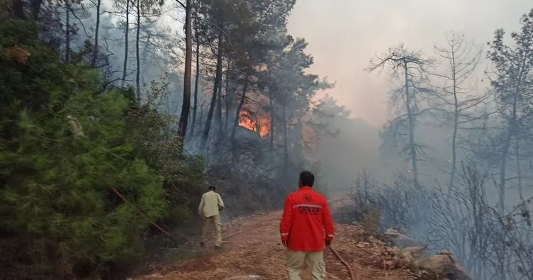 Muğla’da yangın 6 saatte kontrol altına alındı, 30 hektarlık alan kül oldu!