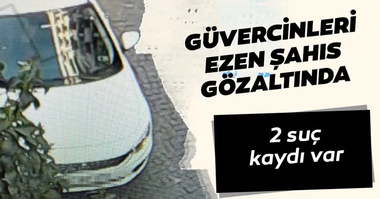 GÜVERCİNLERİ EZEN ŞAHIS GÖZALTINDA