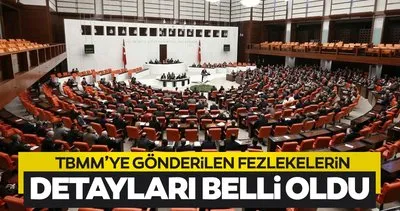 TBMM’ye gönderilen 33 fezlekenin ayrıntıları belli oldu! 28’i HDP’li vekiller hakkında