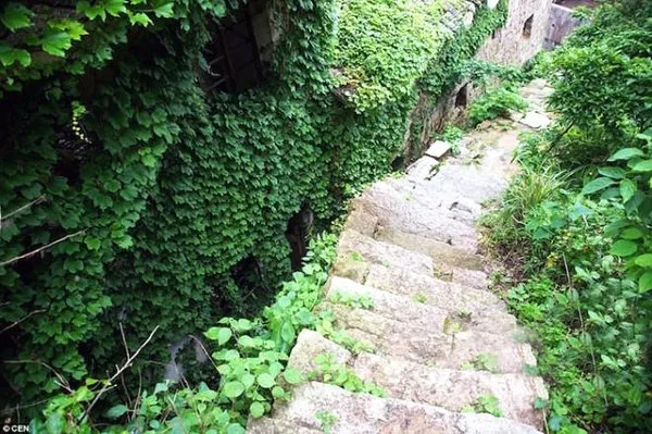 Terk edilmiş balıkçı köyünü tabiat ana ele geçirdi