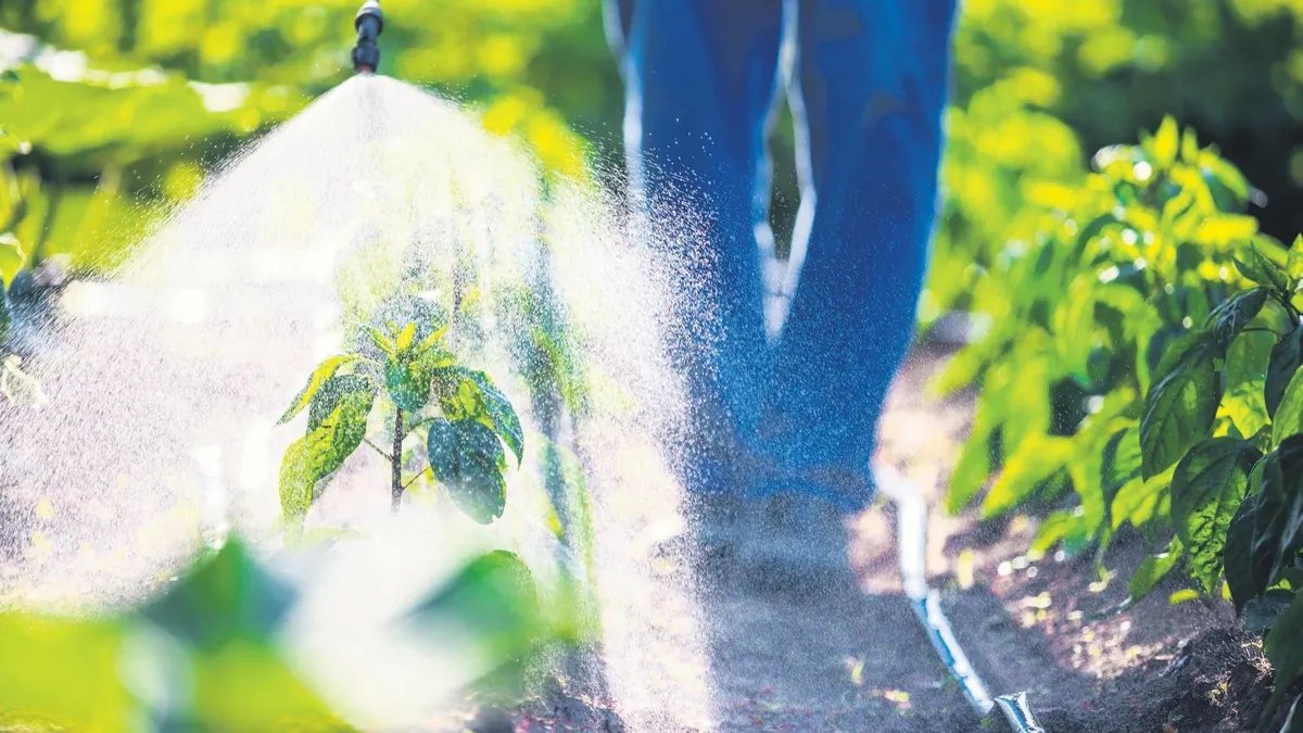 Pestisitlerden uzak durmak için bilinçli tüketim şart Pestisitlerden uzak durmak için bilinçli tüketim şart