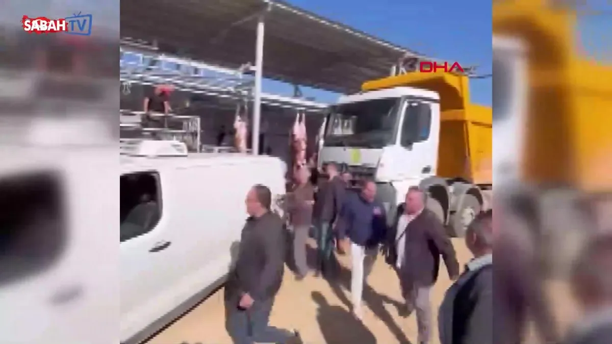 Kesimden kaçan boğa minibüsün camından içeri girmeye çalıştı! O anlar kamerada | Video videosunu izle Kesimden kaçan boğa minibüsün camından içeri girmeye çalıştı! O anlar kamerada | Video videosunu izle