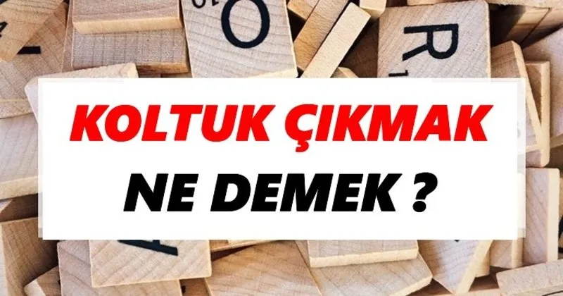 koltuk cikmak ne demek tdk ya gore koltuk cikmak sozluk anlami nedir tdk anlami haberleri koltuk cikmak ne demek tdk ya gore koltuk cikmak sozluk anlami nedir tdk anlami haberleri