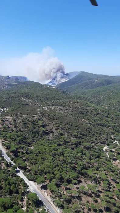 MuÄla'da orman yangını! Bölgeye takviye ekipler sevk edildi