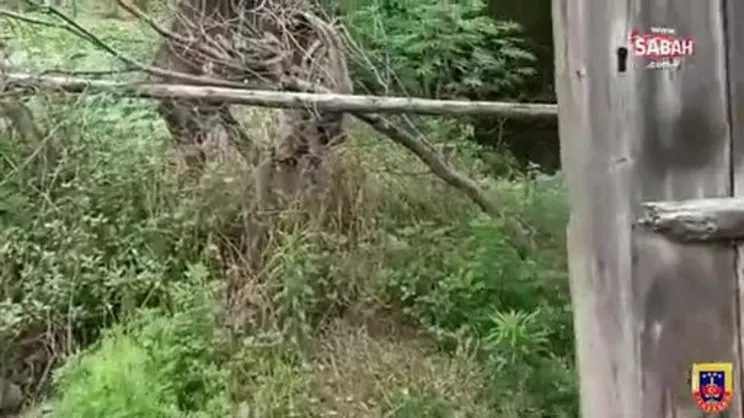 Narkotik köpeği “Duman'dan kaçmadı” | Video
