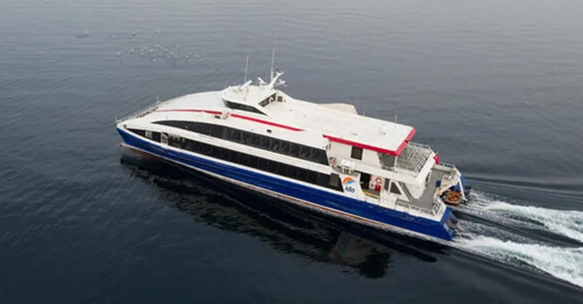 Son Dakika Ido Ve Budo Dan Istanbul Daki Firtina Nedeniyle Iptal Aciklamalari Iste 31 Aralik Ido Ve Budo Nun Iptal Olan Seferleri Son Dakika Haberler