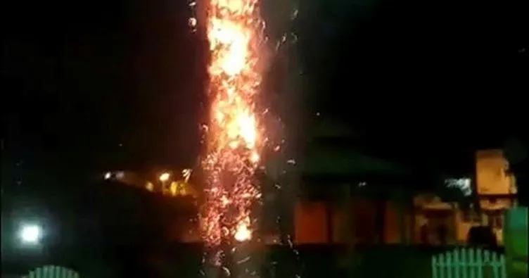 Parktaki ağacı ateşe verdiler