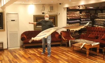 Halıları uçuran adam