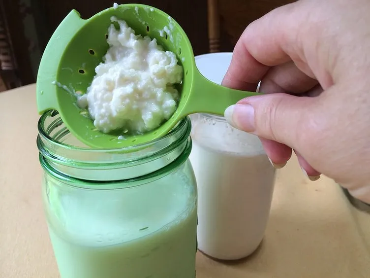 Kefir nedir? Nasıl mayalanır? Faydaları nelerdir? Sayfa 1 Sağlık