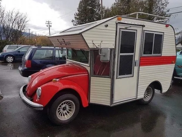 Volkswagen kaplumbağa karavana dönüştü