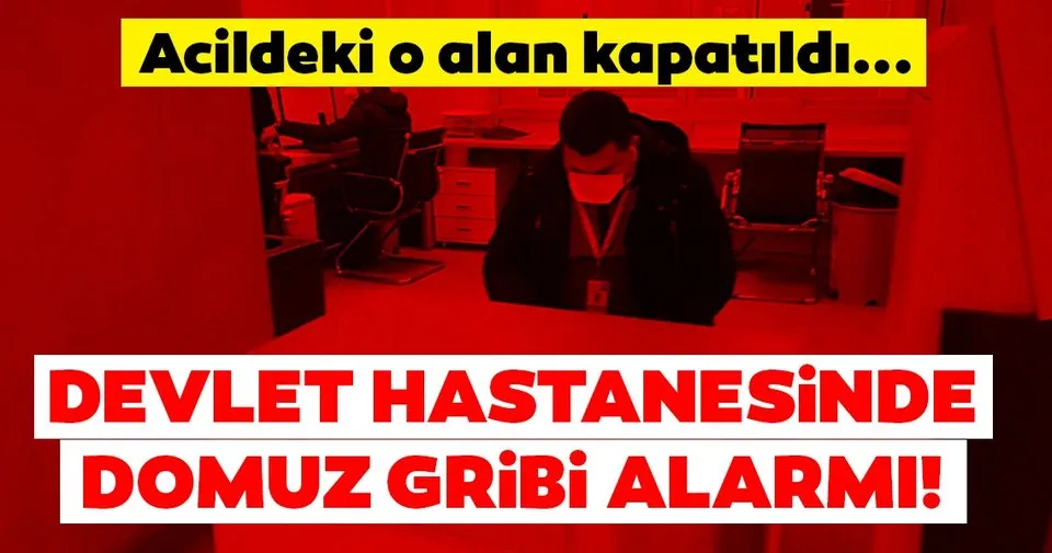 buyukcekmece de son dakika domuz gribi