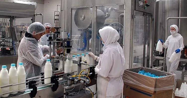 81 ilde et ve süt ürünlerine denetim