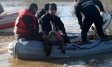 Onlardan sadece 7 tane var
