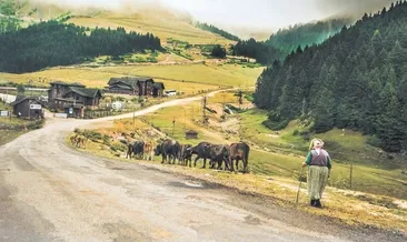 Huzurun adresi Koçkayası Parkı