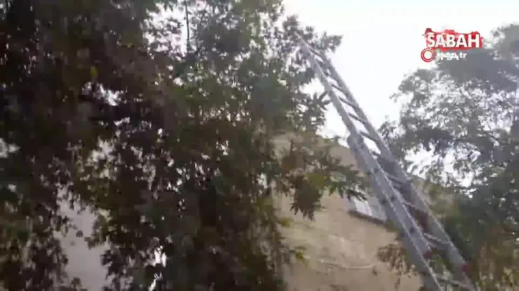 Bir garip kedi kurtarma operasyonu: Kediyi kurtaralım derken az daha öldürüyorlardı | Video
