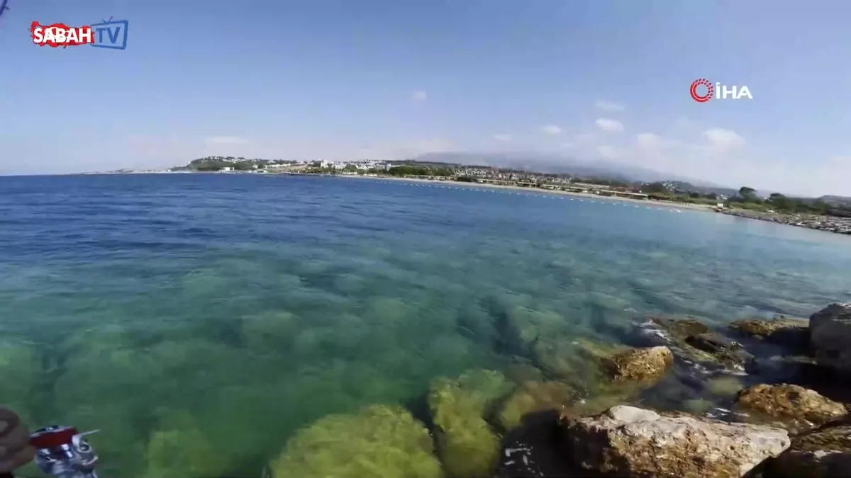 Balık tutarken gördü: Oyun oynuyor sandığı çocuğu boğulmaktan son anda kurtardı! O anlar kamerada videosunu izle Balık tutarken gördü: Oyun oynuyor sandığı çocuğu boğulmaktan son anda kurtardı! O anlar kamerada videosunu izle