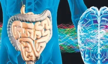 İkinci beyin bağırsaklar