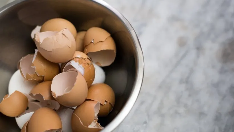 Yumurta kabuklarını böyle kullanabileceğinizi biliyor muydunuz? Bıçaklarını anında keskinleştiriyor