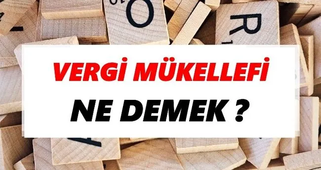 Vergi mükellefi Ne Demek? TDK’ya Göre Vergi mükellefi Sözlük Anlamı Nedir?
