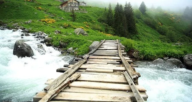 rize de aranan 11 ayder yaylasi bulundu