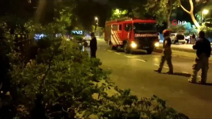 İstanbul Üsküdar’da ağaç yola devrildi