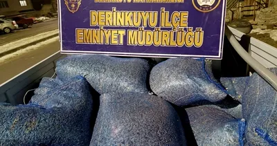 Çekirdek hırsızı yakayı ele verdi