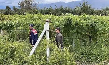 Sakarya'da 'emek' nöbeti: Bir yıllık uğraşları boşa gitmesin diye jandarma ekipleriyle omuz omuza! #sakarya