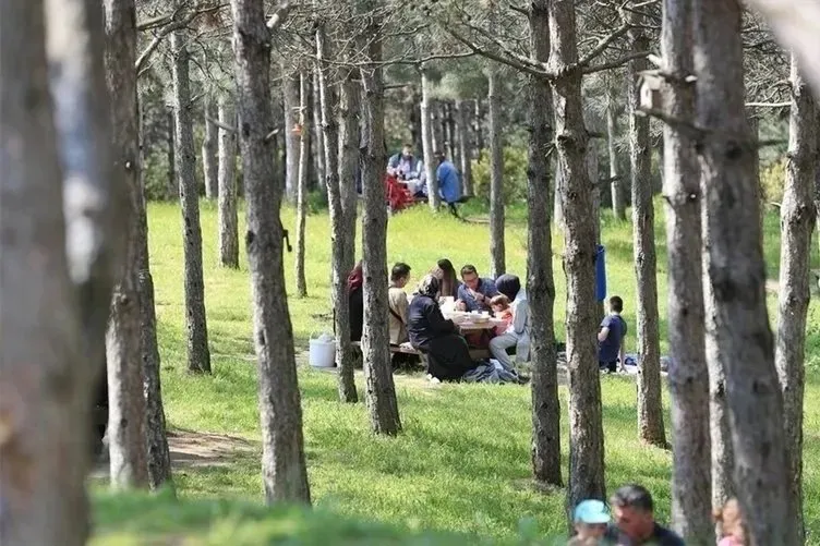 ORMANA GİRİŞ YASAĞI OLAN İLLER 2024 | Hangi illerde ormana giriş yasak, piknik ve mangal yapmak, ateş yakmak yasaklandı mı?